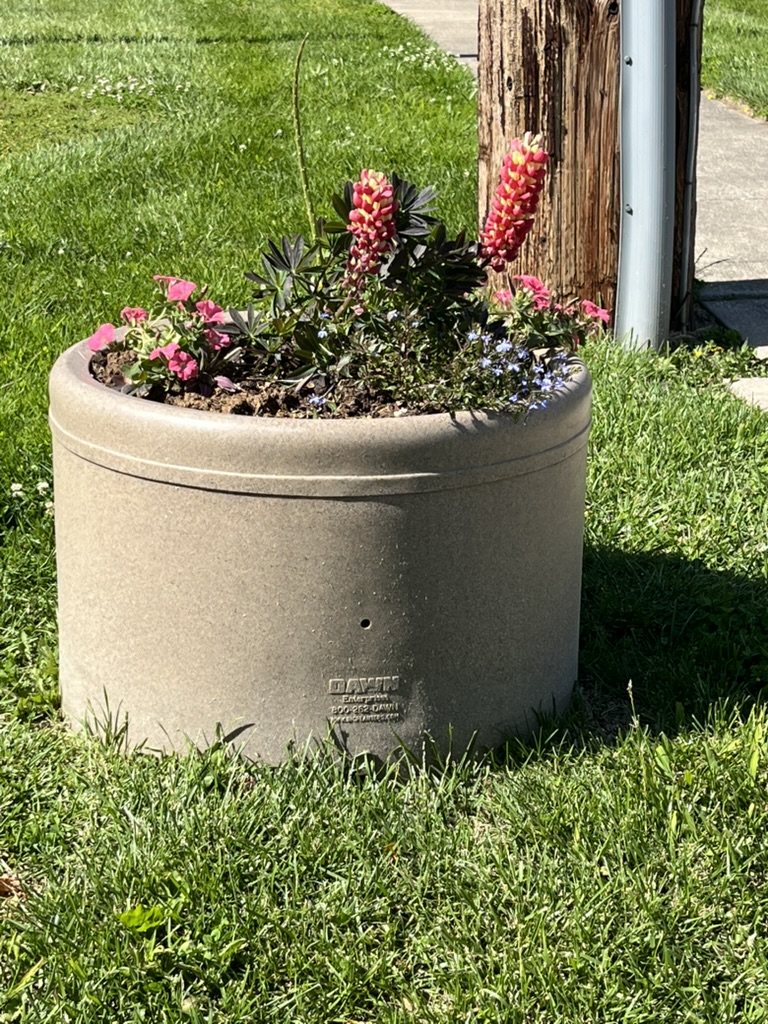 Garden photo